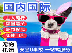吴川航空物流国际宠物托运 【国